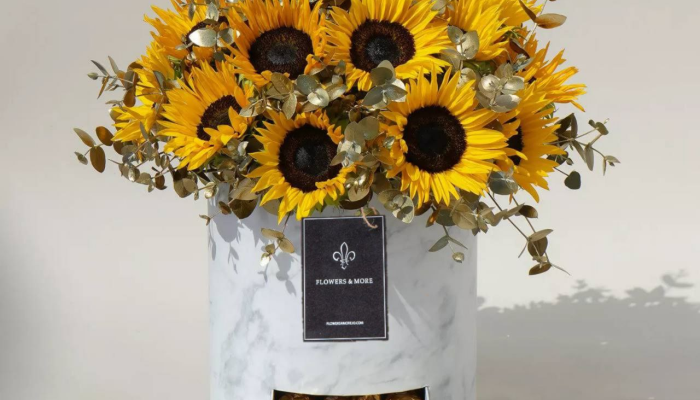 How to Choose the Perfect Rose for Your Garden